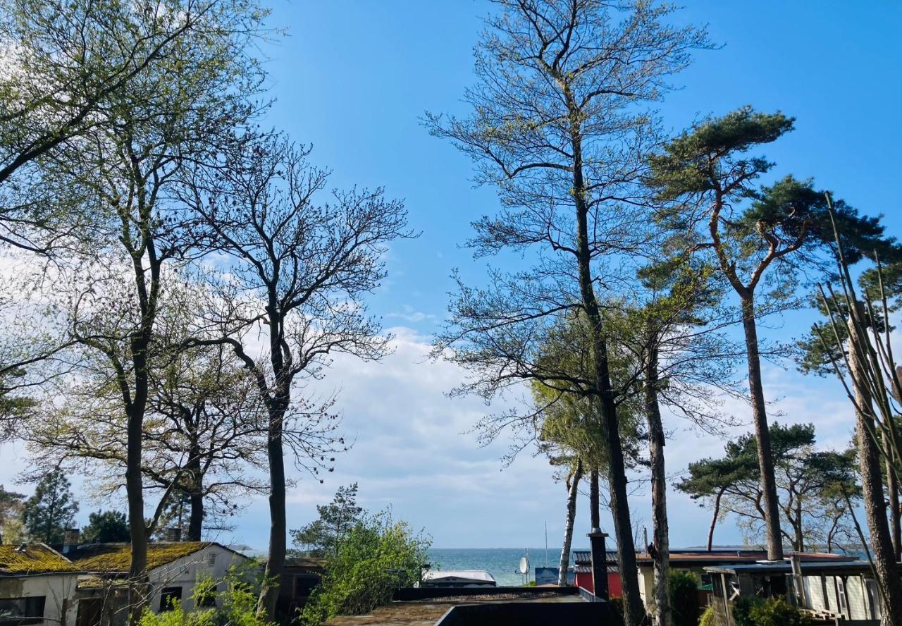 Ostsee-Gutshaus Am Salzhaff Pepelow Naehe Rerik- Am Meer Residieren! Klein Strömkendorf エクステリア 写真